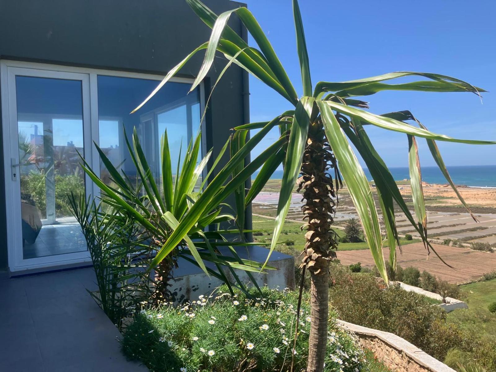 2 Bungalows Avec Vue Sur Mer Et Piscine Partagee Oualidia Eksteriør bilde